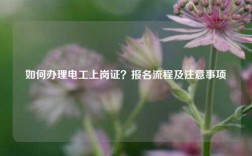如何辦理電工上崗證？報名流程及注意事項