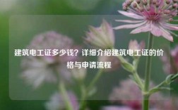 建筑電工證多少錢？詳細(xì)介紹建筑電工證的價格與申請流程