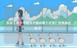 東京工業(yè)大學(xué)相當(dāng)于國內(nèi)哪個大學(xué)？世界排名多少？