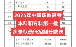 職高考本科的分?jǐn)?shù)線