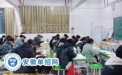 安徽省單招怎么復習？安徽單招生集訓營2024年冬季招生簡章！低分逆襲上公辦院校！