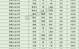 2024年安徽工業(yè)大學(xué)錄取分數(shù)線