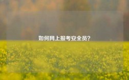如何網(wǎng)上報考安全員？
