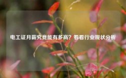 電工證月薪究竟能有多高？看看行業(yè)現(xiàn)狀分析