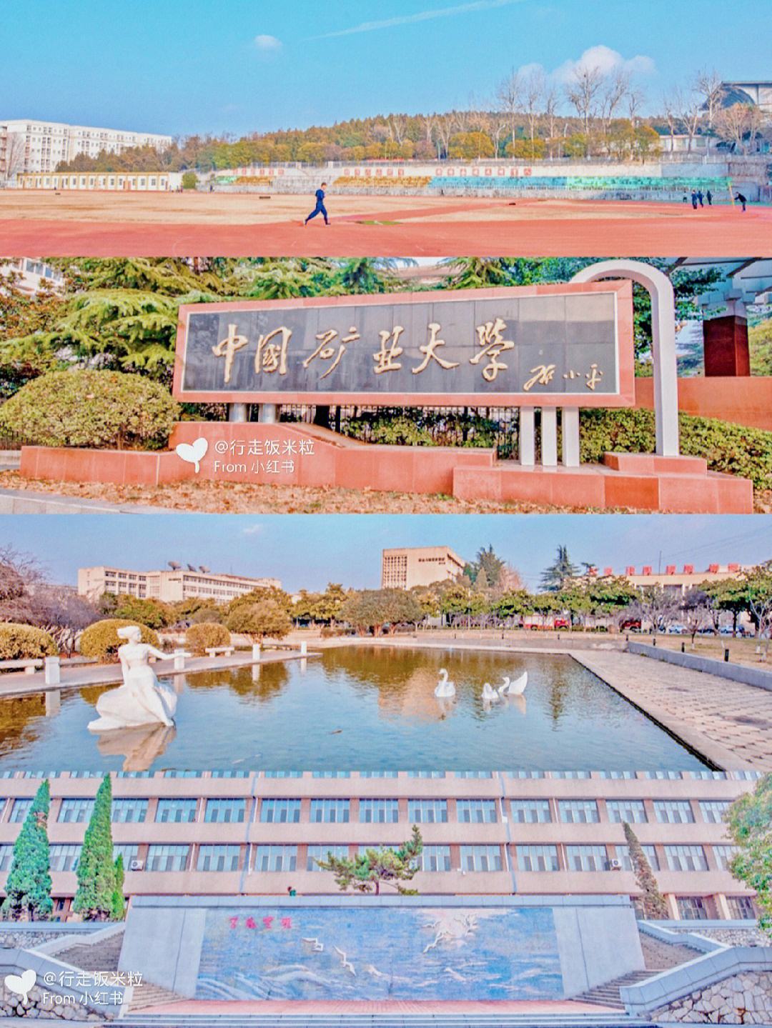 cumt是哪個大學(xué)(中國礦業(yè)大學(xué)有哪些學(xué)院)-圖1