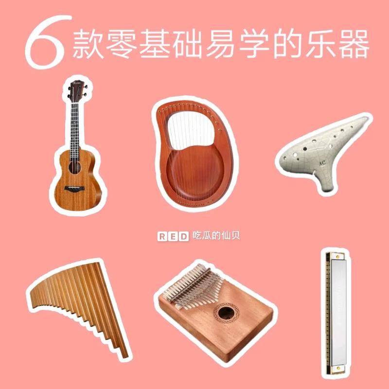 哪個樂器最簡單好學(xué)-圖1