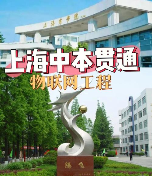 中本貫通上海有哪些學(xué)校(中本貫通屬于什么學(xué)歷)-圖1