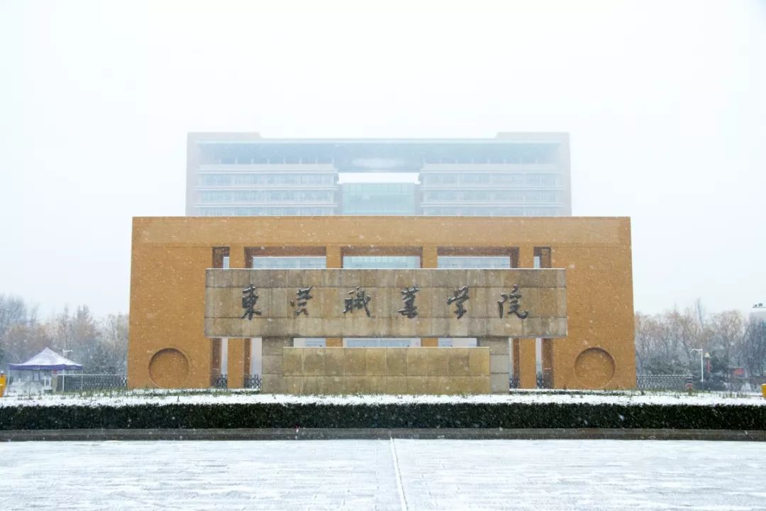 東營職業(yè)學院怎么樣(山東十大最好的職業(yè)院校)-圖1