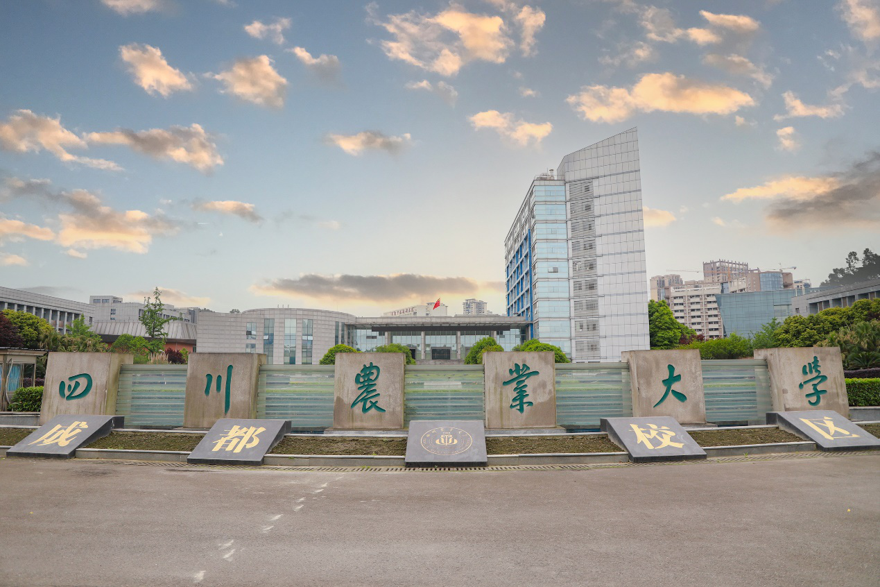 四川農(nóng)業(yè)大學(xué)怎么樣(張雪峰評價四川農(nóng)業(yè)大學(xué))-圖1