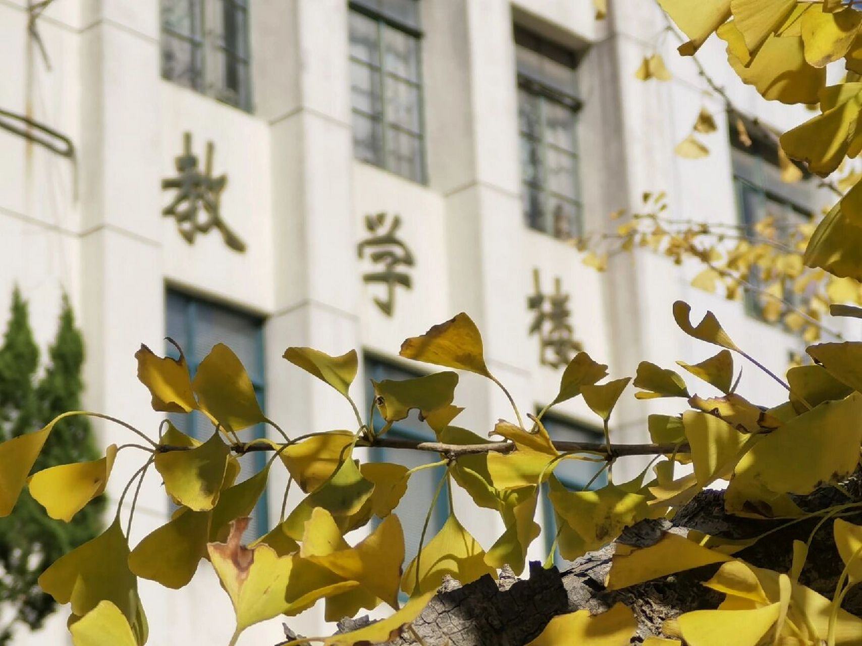 上海專科學(xué)校(上海十大最好的職業(yè)學(xué)校)-圖1