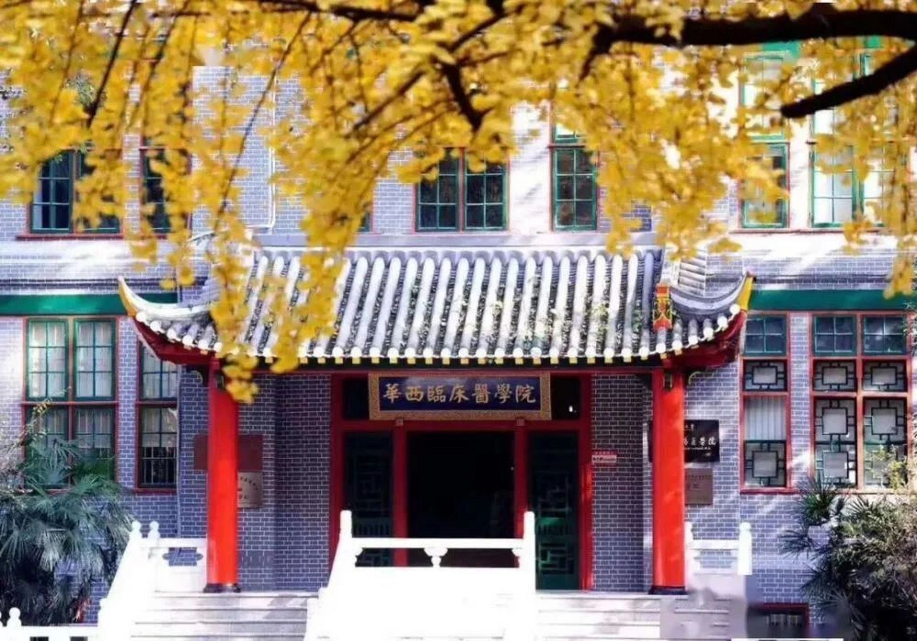 醫(yī)學(xué)院校(醫(yī)學(xué)類最吃香的三個專業(yè))-圖1