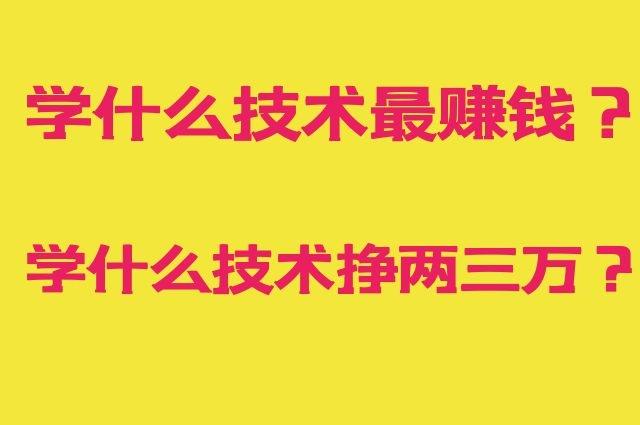 學(xué)什么技術(shù)掙兩三萬(wàn)(現(xiàn)在學(xué)什么技術(shù)最好也最能掙錢(qián))-圖1