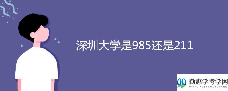深圳大學(xué)是985還是211(深圳理工大學(xué)介紹)-圖1