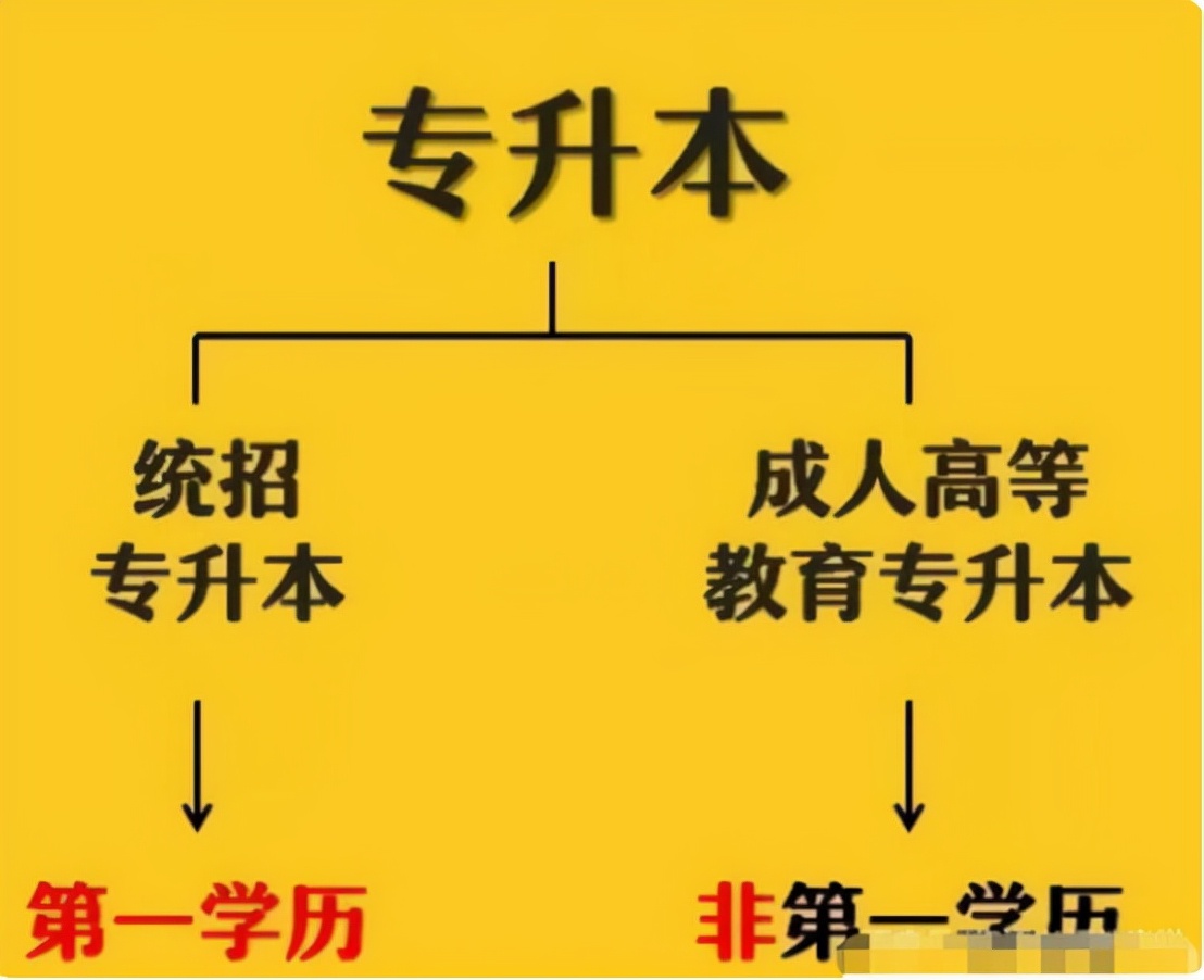 本科是什么意思(自考大專報(bào)名官網(wǎng)入口)-圖1