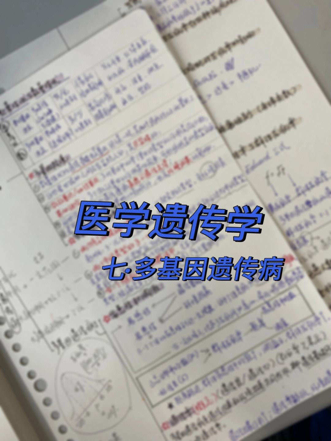 醫(yī)學(xué)遺傳學(xué)專(zhuān)碩(貴州中醫(yī)藥大學(xué)研究生招生簡(jiǎn)章)-圖1