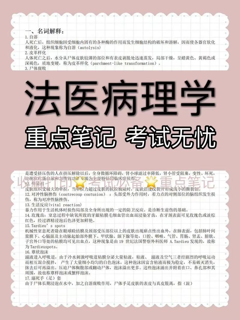 考法醫(yī)研究生有什么要求(法醫(yī)學(xué)考研考哪些科目)-圖1