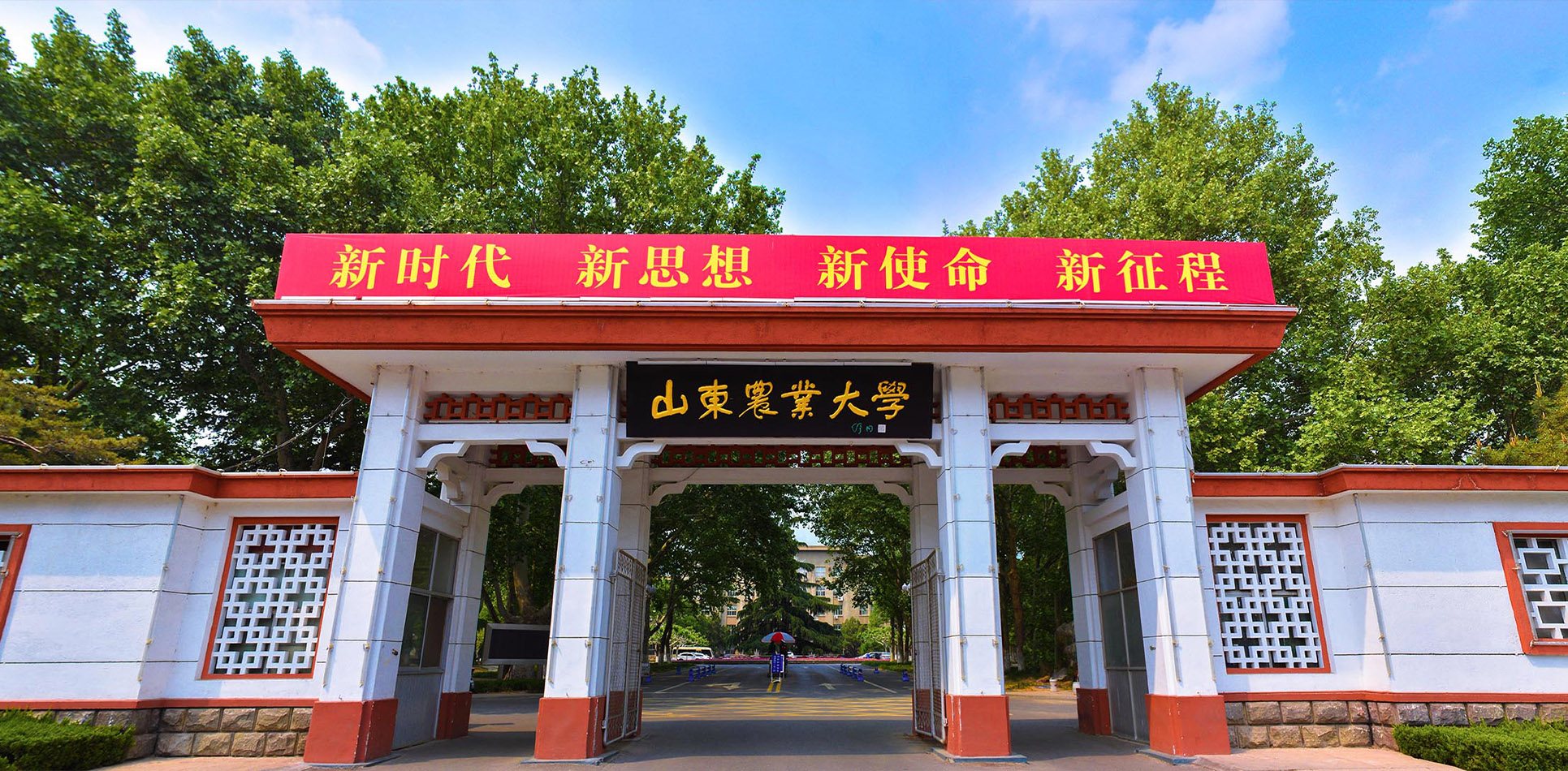 山東農(nóng)業(yè)大學(xué)怎么樣(張雪峰說(shuō)山東農(nóng)業(yè)大學(xué))-圖1