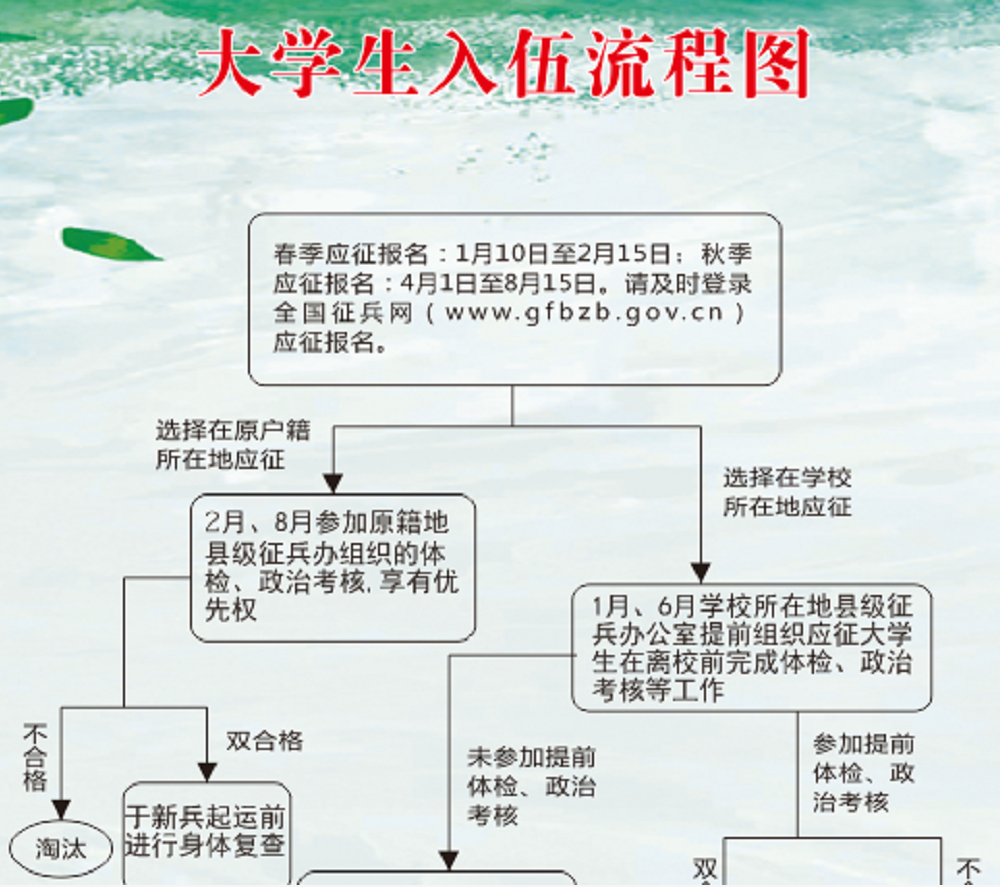 大學(xué)生入伍流程(大學(xué)生從學(xué)校當(dāng)兵流程)-圖1