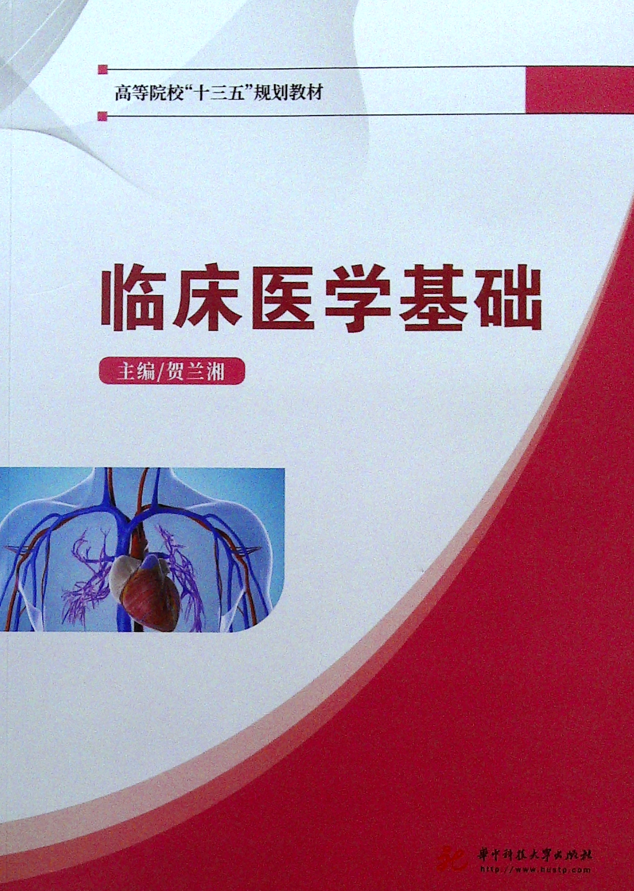 臨床醫(yī)學(xué)基礎(chǔ)(臨床醫(yī)學(xué)知識(shí)點(diǎn))-圖1