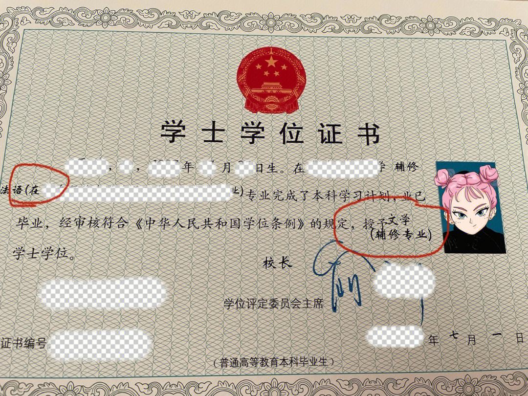 輔修雙學(xué)位國家承認嗎(本科輔修法學(xué)可以法考嗎)-圖1