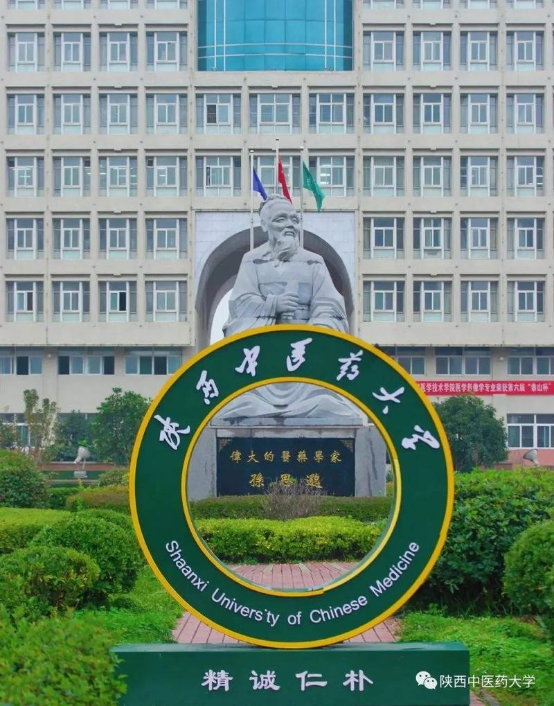陜西中醫(yī)藥大學是一本還是二本(陜西中醫(yī)藥大學成人本科招生)-圖1