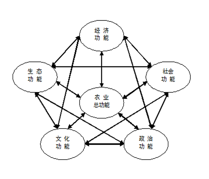 社會(huì)功能是什么意思(社會(huì)功能包括哪四個(gè)方面)-圖1