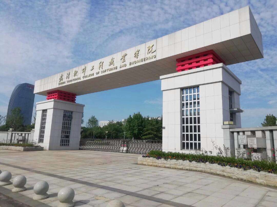 武軟是什么學(xué)校(把孩子送武校的利弊)-圖1