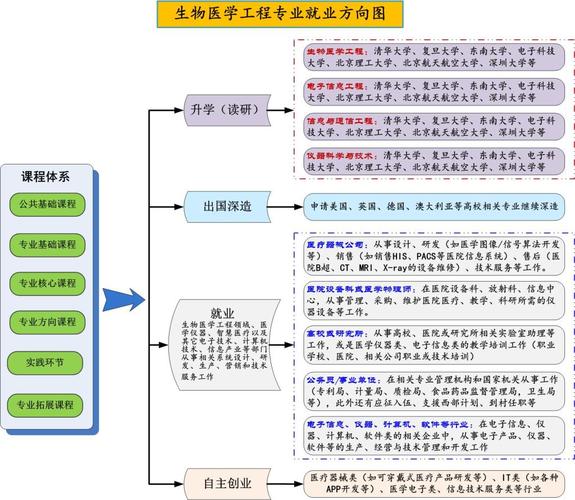 生物工程專(zhuān)業(yè)就業(yè)方向及前景-圖1