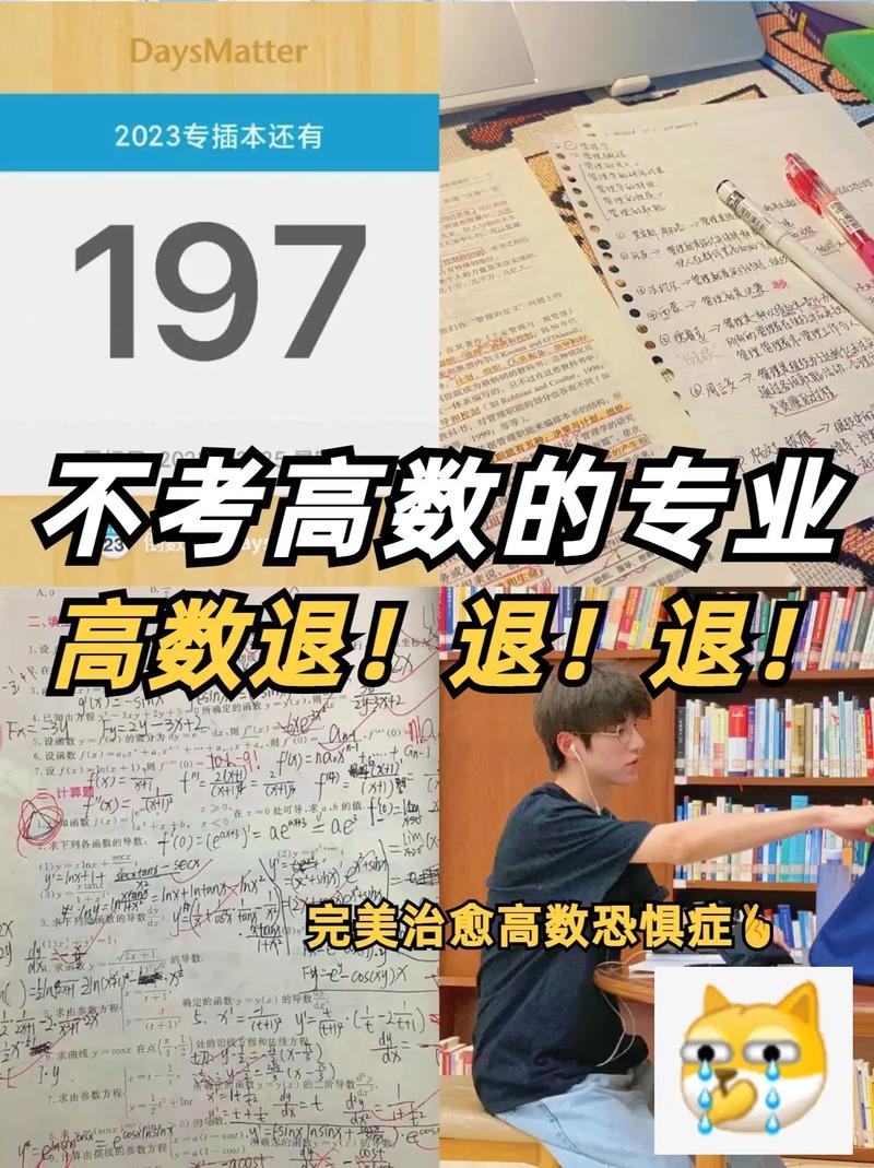 不學(xué)高數(shù)的大學(xué)專(zhuān)業(yè)-圖1