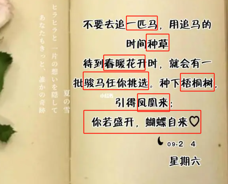 上帝為你關(guān)上一扇門就會為你打開一扇窗-圖4