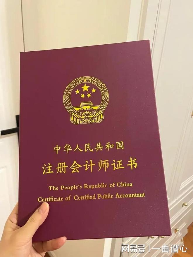 注冊會計(jì)師是干嘛的-圖1