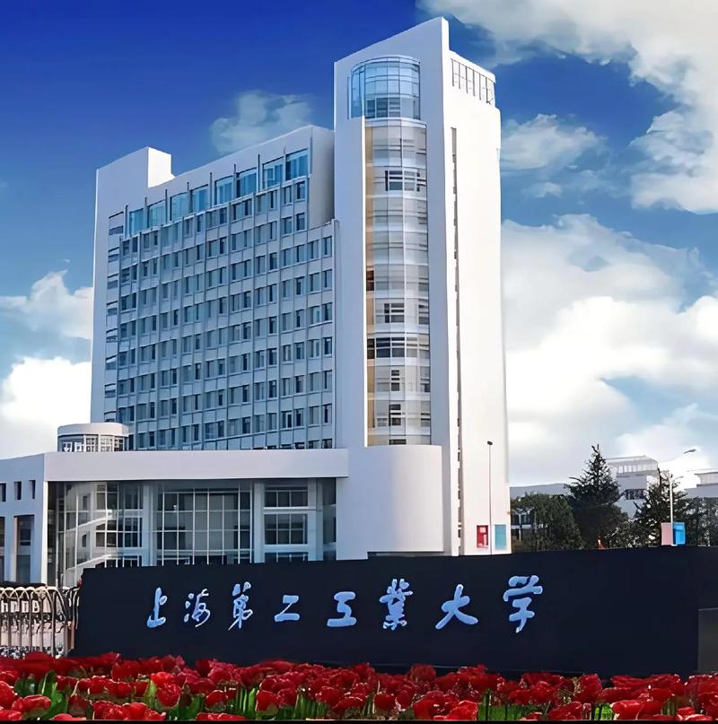 上海第二工業(yè)大學怎么樣-圖1