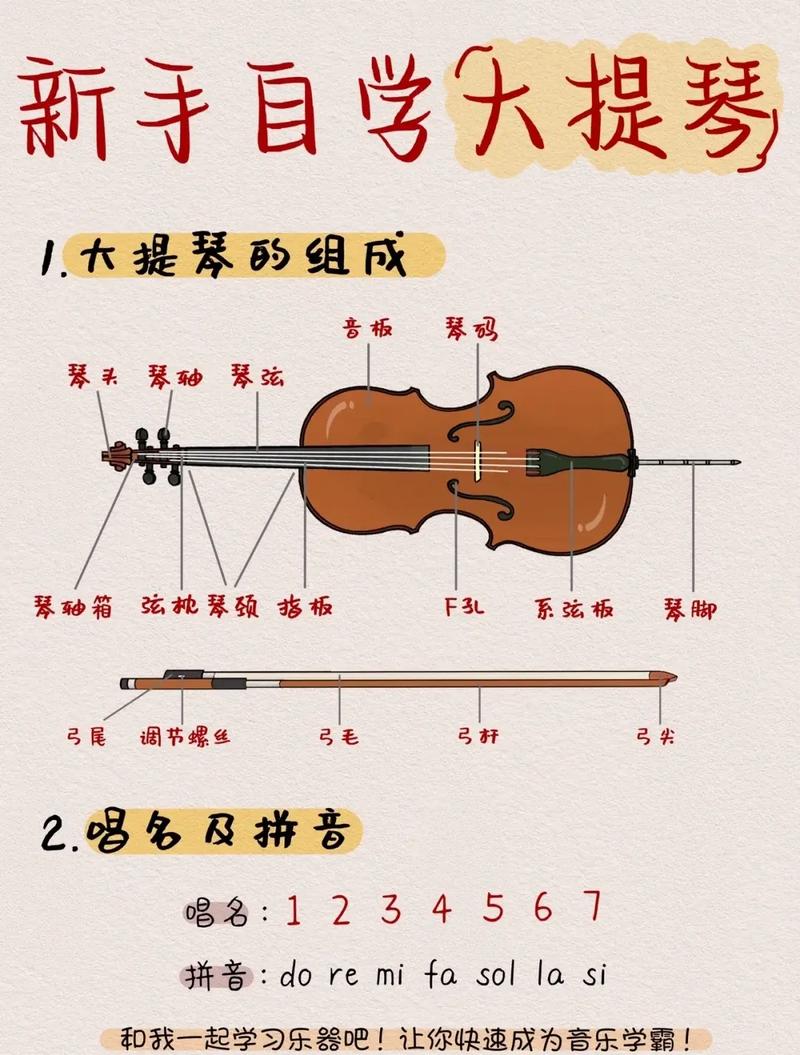 大提琴幾歲開(kāi)始學(xué)最好-圖1