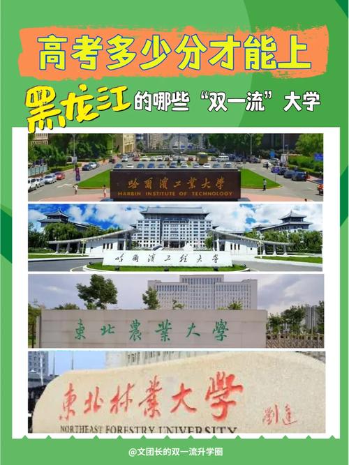 東北農(nóng)業(yè)大學是雙一流嗎-圖1