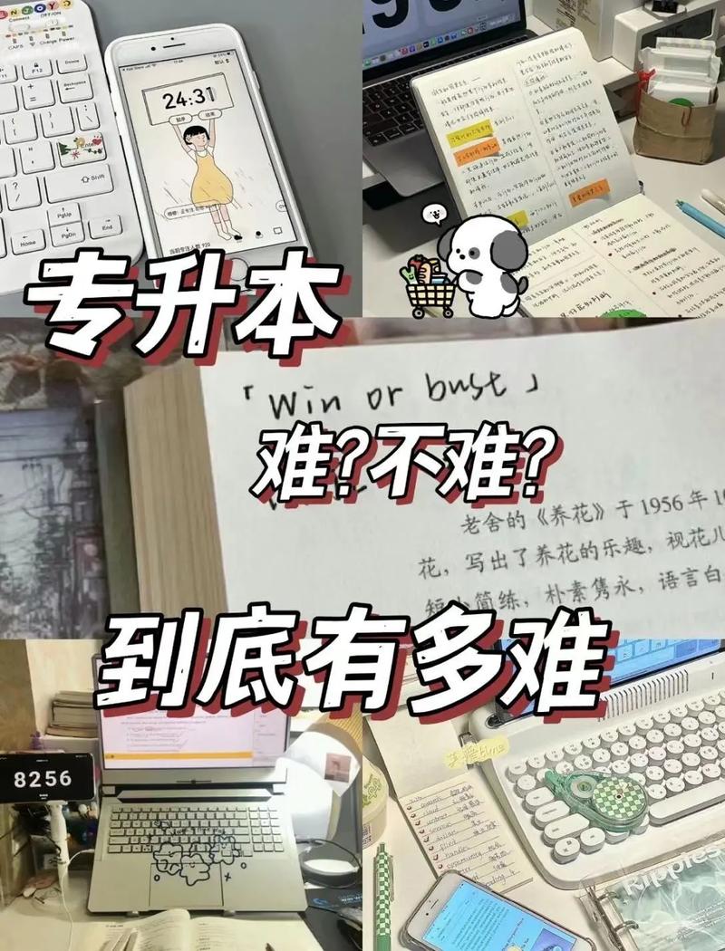 電子商務(wù)專升本難嗎-圖1
