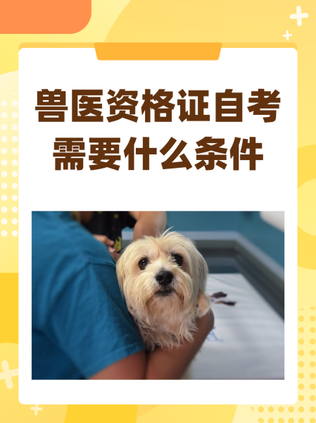 獸醫(yī)自考需要什么條件-圖1
