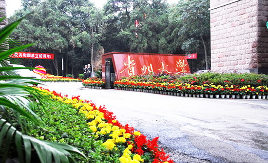 貴州大學繼續(xù)教育學院官網(wǎng)http://cce.gzu.edu.cn/-圖1