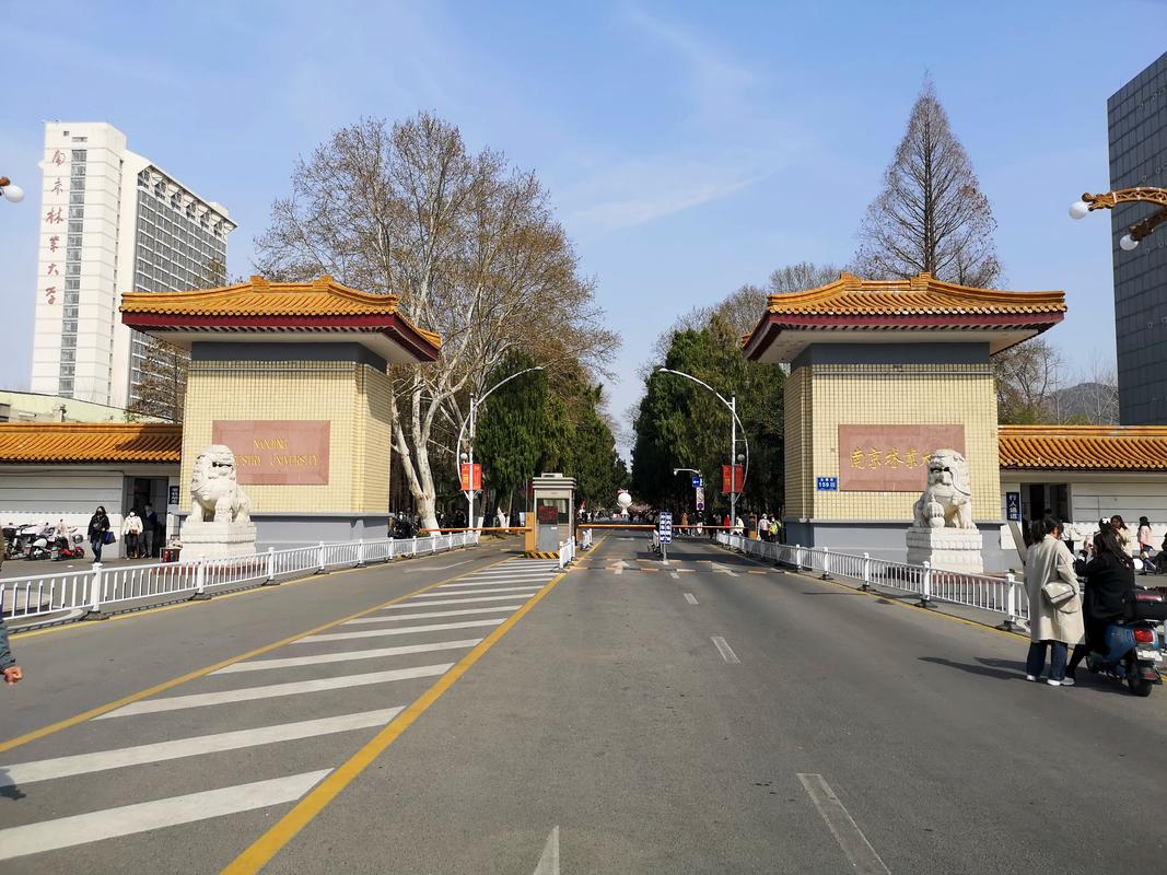南京林業(yè)大學(xué)是985或者211嗎-圖1
