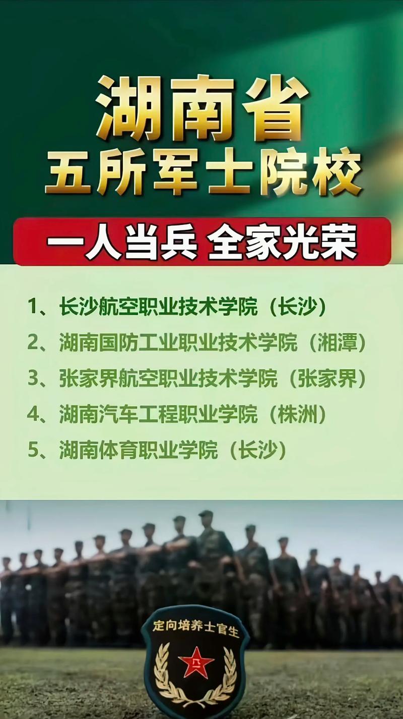 定向士官淘汰率多高？具體數(shù)據(jù)如何？-圖1