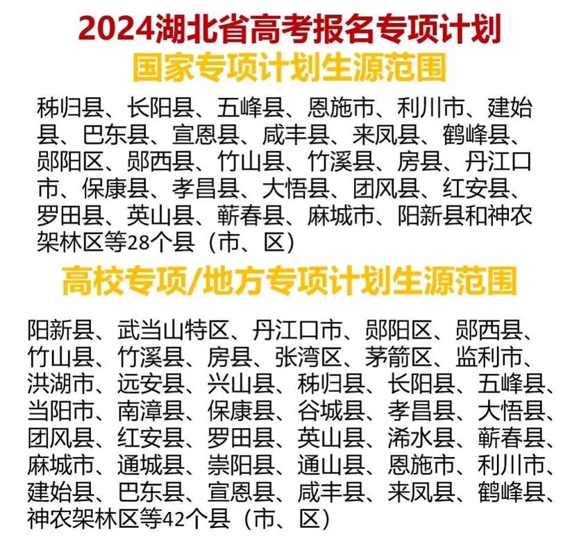 2024河南地方專項計劃有哪些？具體政策是什么？-圖1