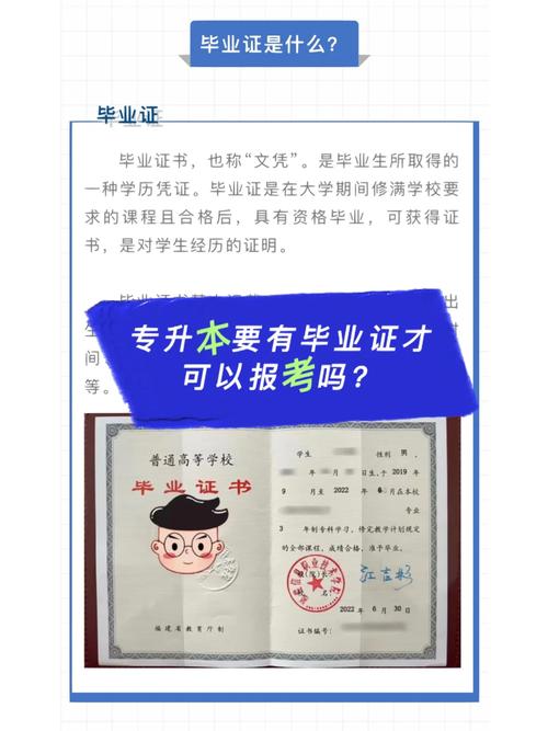 畢業(yè)了還可以考專升本嗎(報考條件)-圖1