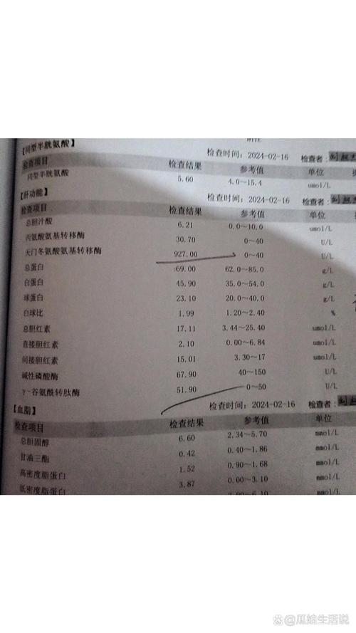 天門冬氨酸氨基轉(zhuǎn)移酶正常值-圖1