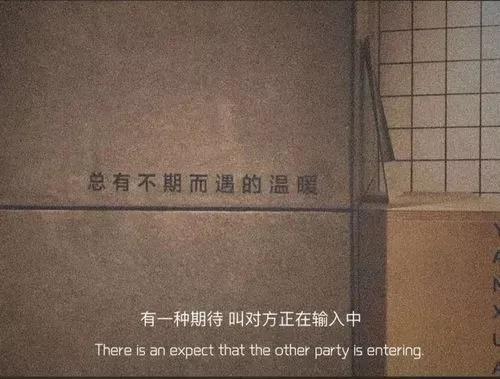 濱海中學(xué)的升學(xué)率如何？有哪些特色課程？-圖1