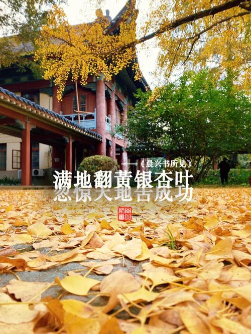 南京師范大學(xué)隨園校區(qū)地址是什么？如何查詢？-圖1