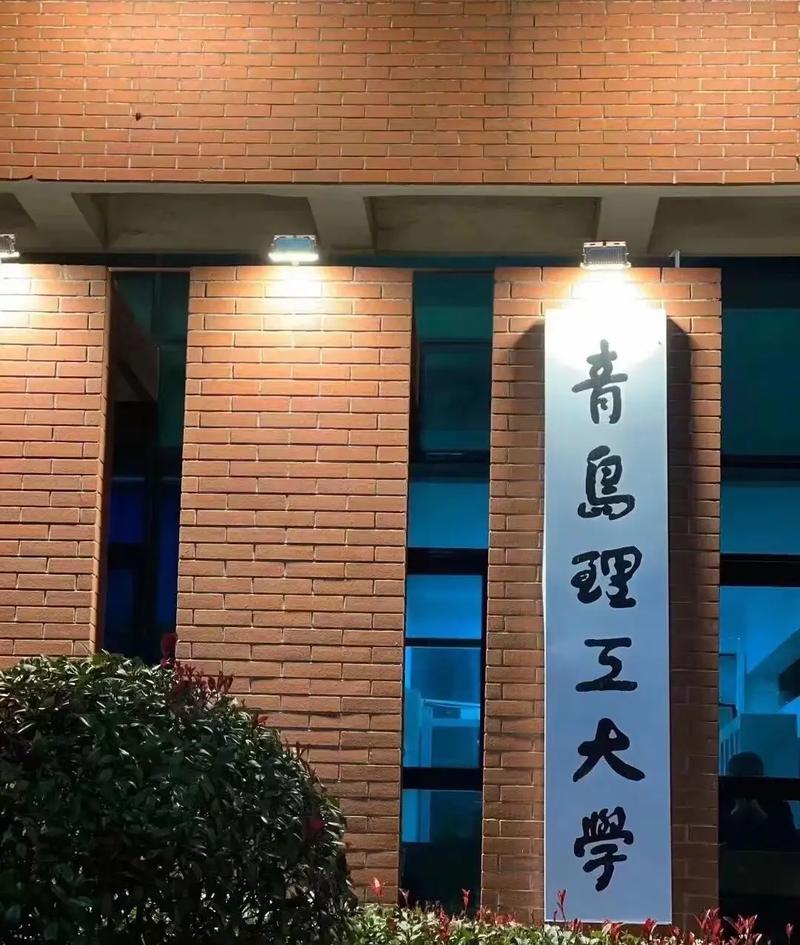 山東專(zhuān)升本最好的大學(xué)-圖1