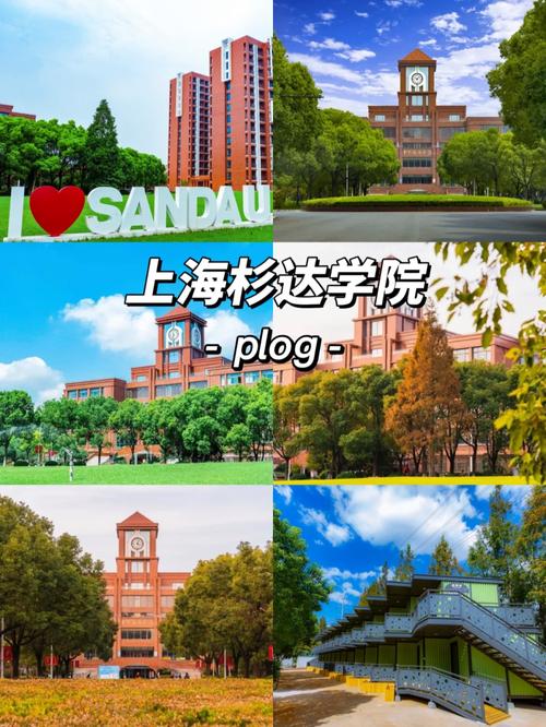 上海杉達(dá)學(xué)院教務(wù)處登錄入口（附網(wǎng)址+流程）-圖1