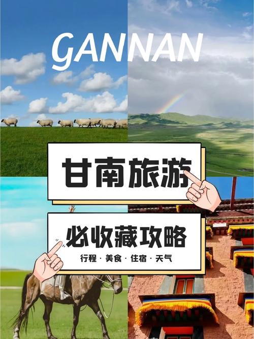 甘南州安全教育平臺(tái)登錄（附入口+流程）-圖1