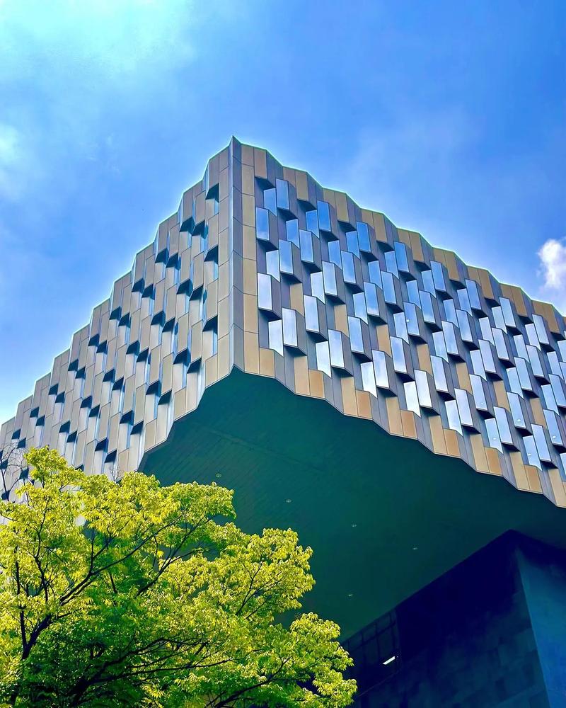 韓國(guó)首爾大學(xué)介紹-圖1