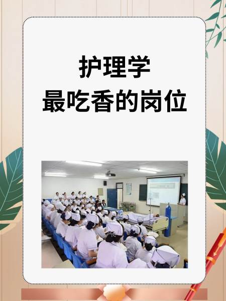 護(hù)理學(xué)最吃香的崗位-圖1