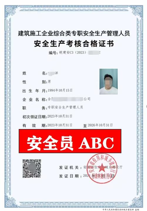 交安b證查詢網(wǎng)址-圖1